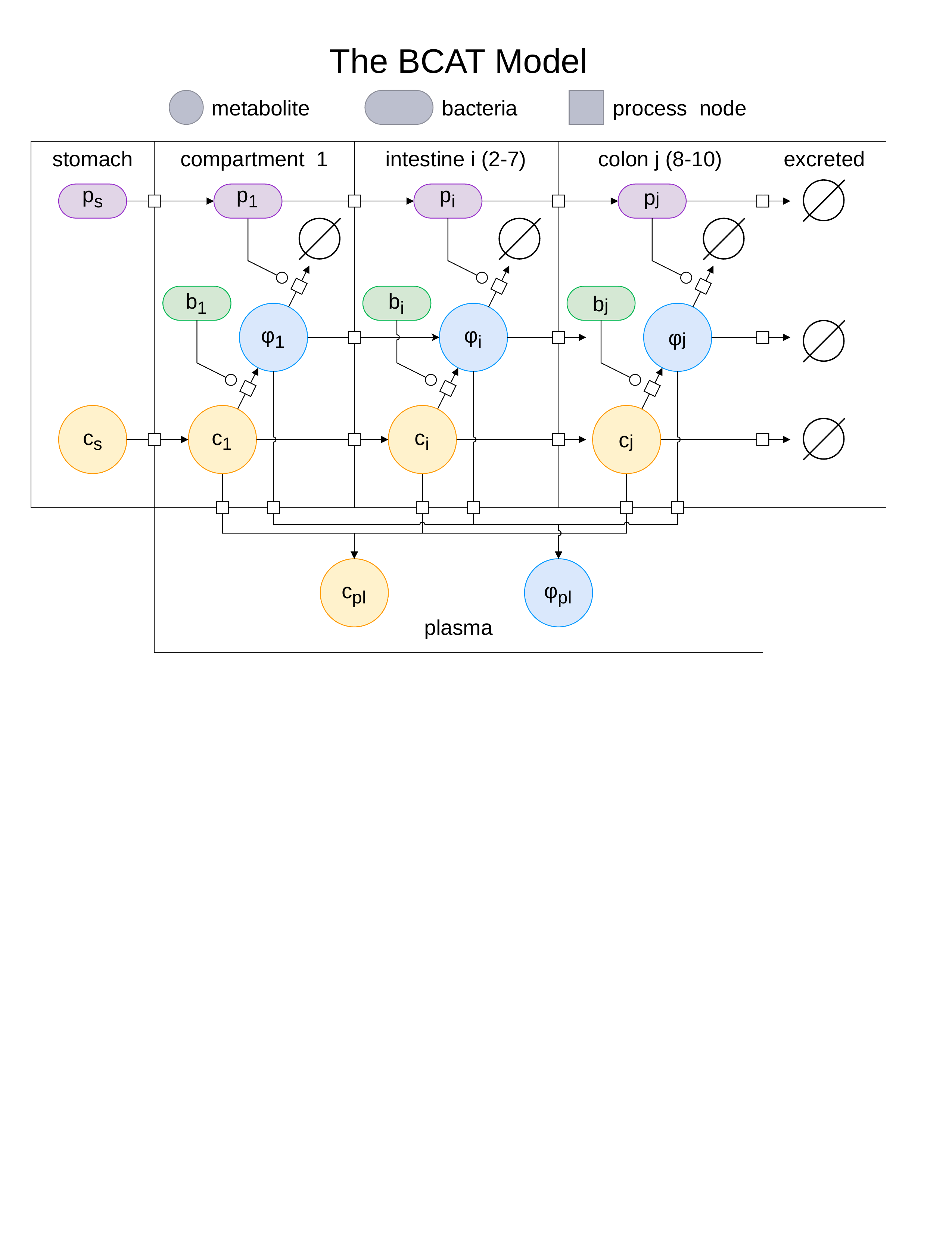 Schematic of the BCAT model showing compartmental structure from stomach through colon